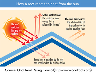 Hernandez Construction and Roof Inc. Images